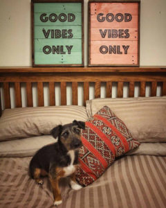 His 'n' Hers wooden anniversary gift Good Vibes Only wall art